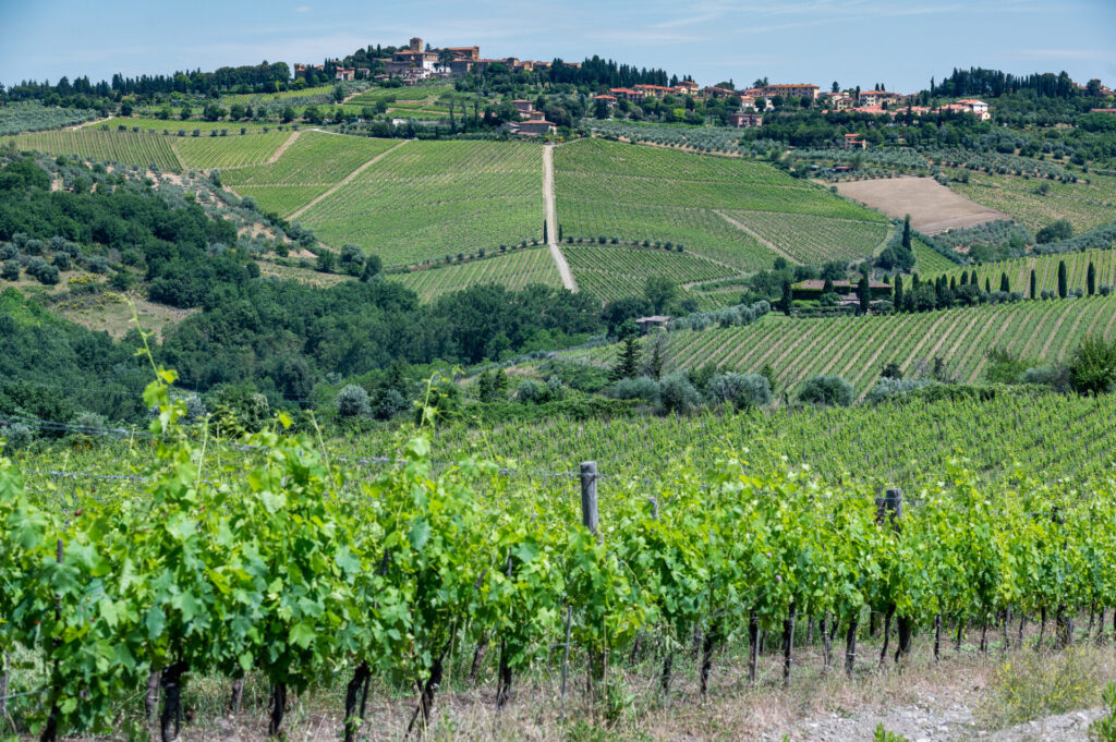 chianti