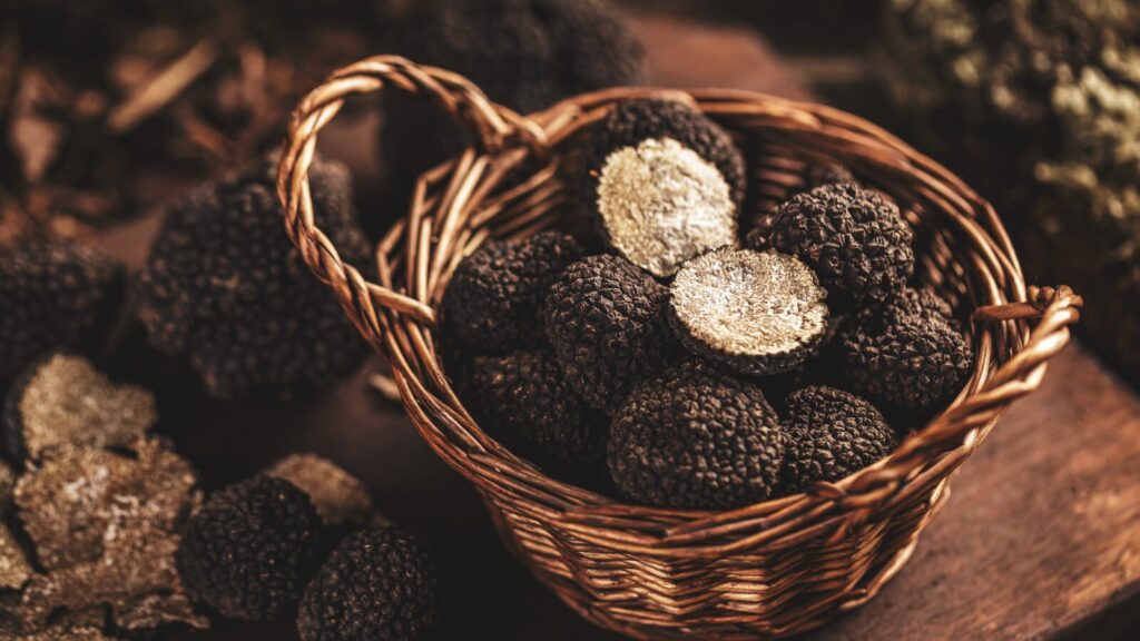 tartufo