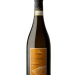 Verticle Pievalta San Paolo Castelli di Jesi Verdicchio Riserva DOCG Classico
