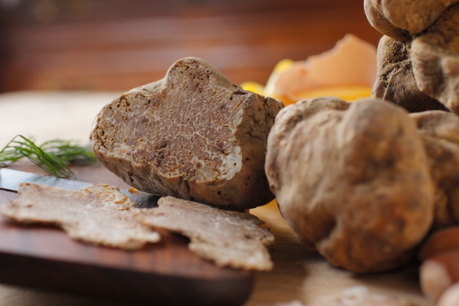 tartufo