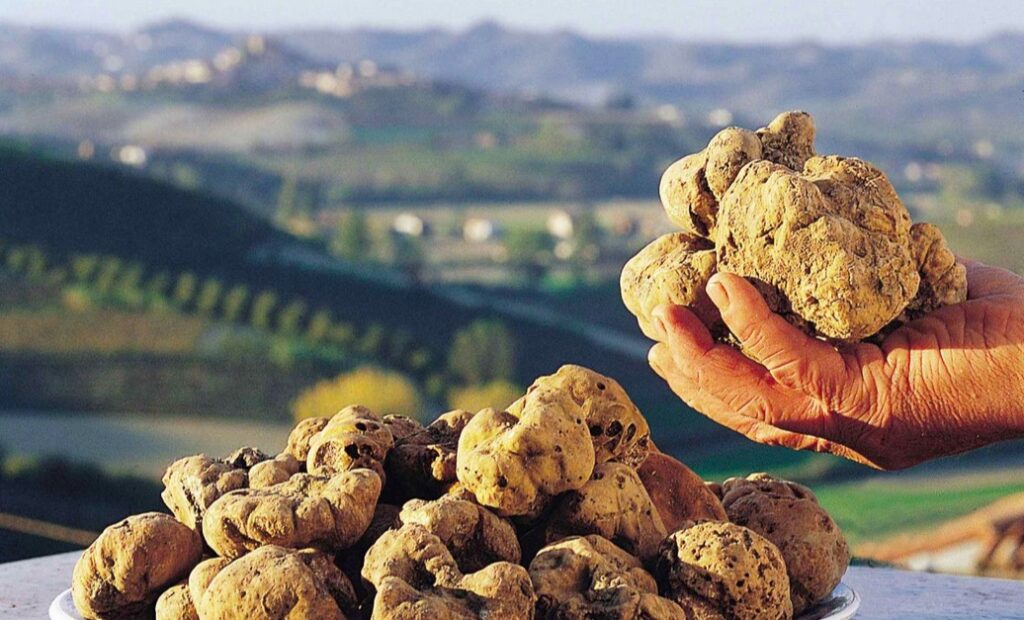 tartufo