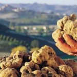 A caccia di sua maestà il tartufo