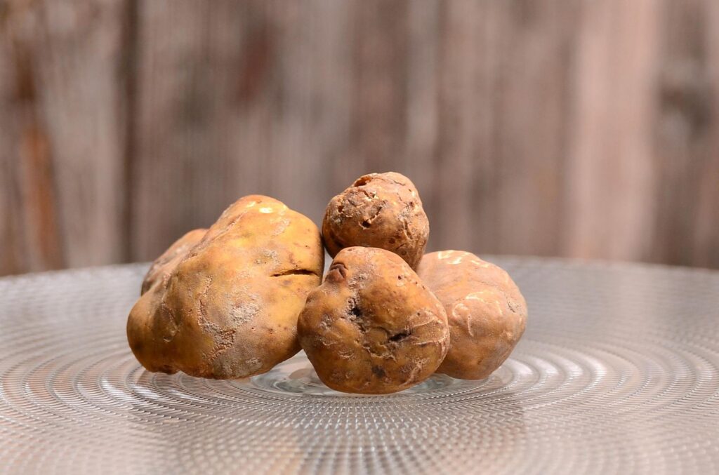 tartufo