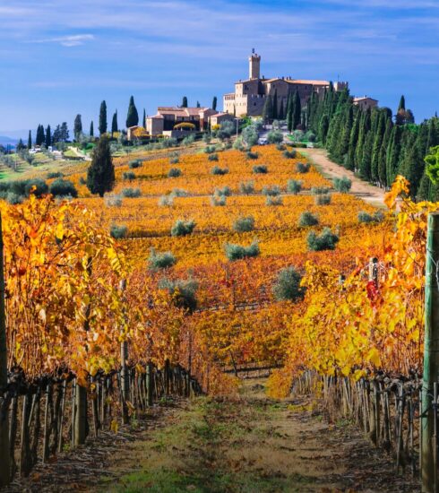 Brunello Montalcino Fancy