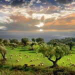 Calabria, la meta gastronomica che ancora non conoscete