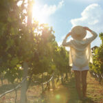 Estate tra le vigne