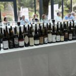 Serralunga Day: anteprima Barolo annata 2022
