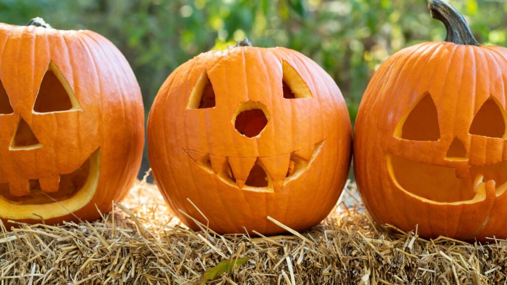 zucca
