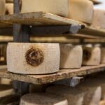 Pecorino Toscano DOP